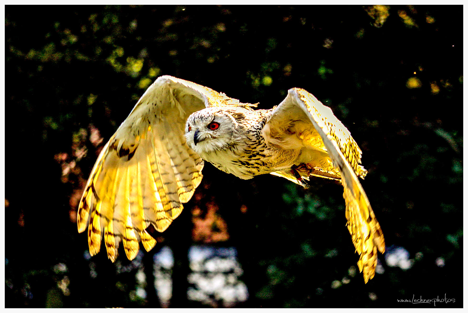 Tierpark Poing 684 Bearbeitet edit 20090927